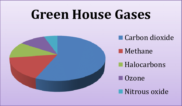 Percentage-of-greenhouse-gases-in-the-atmosphere